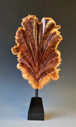 Red Mallee Burl Carving