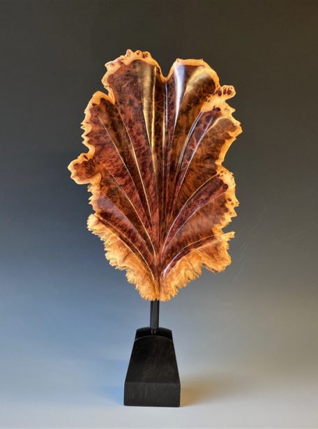 Red Mallee Burl Carving
